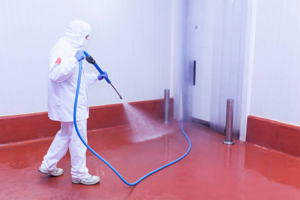 Best Machinery and Equipment Cleaning  in St Peters, MO